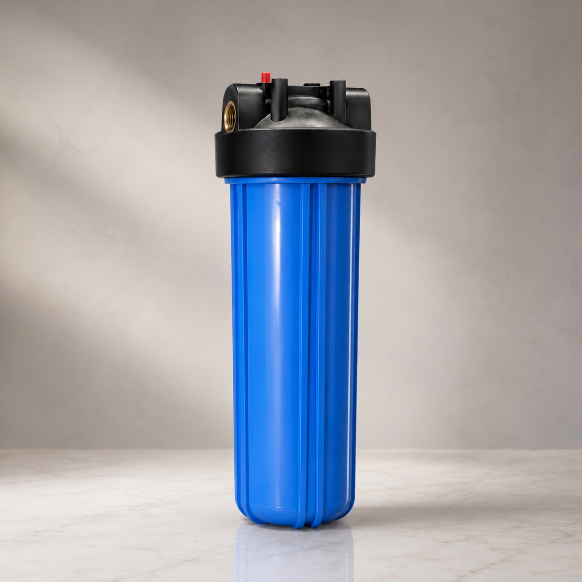 Filtru de sedimente Big Blue 20" (BB20)